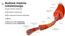KLASA 3 rozszerzenie - PAKIET NA CAŁY ROK