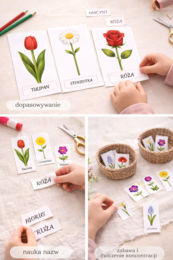 Moje pierwsze kwiaty – karty obrazkowe dla 2–4-latków