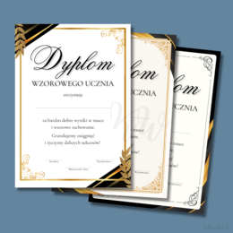 Dyplomy Wzorowego Ucznia - zestaw
