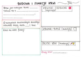 Budowa i funkcje krwi (karta pracy)