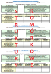 STRUKTURY KOMÓRKOWE - FUNKCJE + BUDOWA KOMÓREK (KARTKÓWKA)