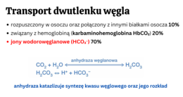 KLASA 3 rozszerzenie - PAKIET NA CAŁY ROK