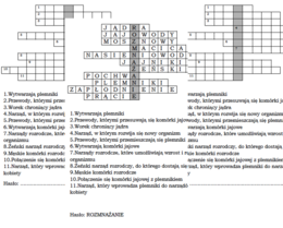Logogryf dla klasy 4 na podsumowanie lekcji o budowie męskich i żeńskich narządów rozrodczych