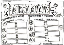 Klasa 7. Biologia. Witaminy (dwie karty pracy: kolorowa + do uzupełnienia)