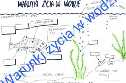 Warunki życia w wodzie