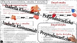Sketchnotka - notatka „Zmysły powonienia, smaku i dotyku” wykonana w power point do edycji. Biologia 7; „Narządy zmysłów”
