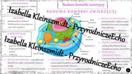 Sketchnotka - notatka „Budowa komórki zwierzęcej” wykonana w power point do edycji. Biologia 5; „Budowa i czynności życiowe organizmów”