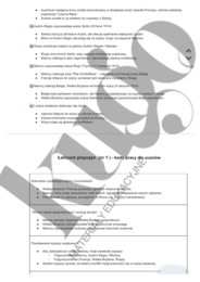 Droga do wojny - łańcuch przyczyn I Wojny Światowej