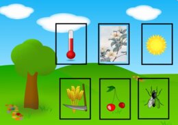 Oznaki lata – Gra planszowa