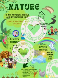 Przyroda/ Science lesson 1