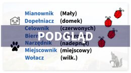 Deklinacja - plansza/wklejka