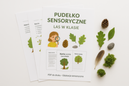 Pudełko sensoryczne „Las w klasie”