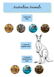 Australian animals. My trip to Australia [ANGIELSKI DLA KLAS 1-3]