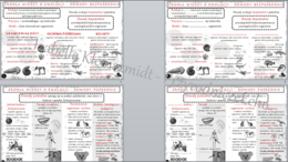 2 sketchnotki i 2 karty pracy w pdf do tematu „Źródła wiedzy o ewolucji”. Biologia klasa 8