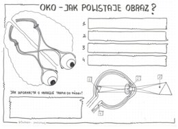Oko - czyli jak powstaje obraz - klasa 7 - kp do uzupełnienia