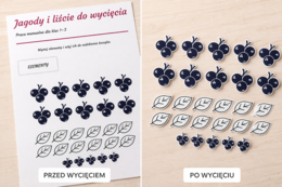 Wycinanka. Koszyk Róży