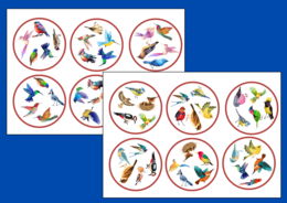 DZIEŃ PTAKÓW – wiosna - biblioteka – świetlica – przedszkole – DOOBLE – 36 szt.