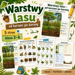Warstwy lasu - od korzeni po korony