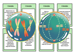 Klasa 8. Biologia. Genetyka. Gra planszowa. Pytania otwarte. Zadania - krzyżówki genetyczne. Karta odpowiedzi. Szachownica Punnetta