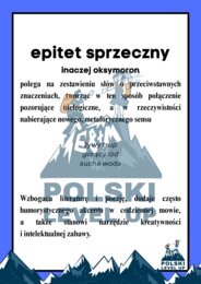 Środki stylistyczne_Polski Level Up