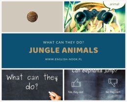 Jungle Animals - what can they do?
