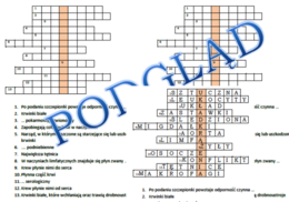 Logogryf do lekcji powtórzeniowej w klasie 7 z układu krążenia