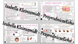Zestaw sketchnotek – notatek do całego działu „Organizm człowieka. Skóra” wykonanych w power point do edycji. Biologia 7