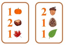 Matematyczna wiewiórka