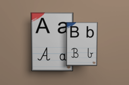 Monografia liter - Alfabet + Zmiękczenia + Dwuznaki