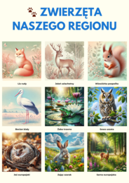 Plansze edukacyjne. Lokalne gatunki roślin i zwierząt, grzybów oraz owadów.