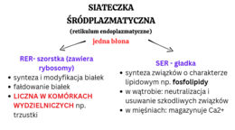 Komórka - podstawowa jednostka życia 1 KLASA ROZSZERZENIE BIOLOGIA