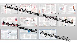 Zestaw sketchnotek – notatek do całego działu „Układ krążenia” wykonanych w power point do edycji. Biologia 7