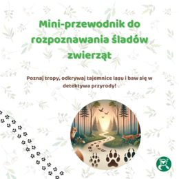 Mini-przewodnik do rozpoznawania śladów zwierząt