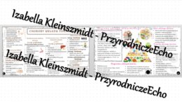 Sketchnotka - notatka „Higiena i choroby układu pokarmowego” wykonana w power point do edycji. Biologia 7; „Układ pokarmowy”