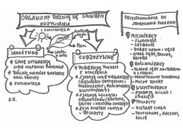 Organizmy różnią się sposobem odżywiania