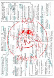 Rzeczpospolita samorządna - rysnotka / sketchnotka / notatka - HiT / WOS / HISTORIA