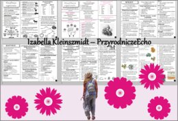 Zestaw sketchnotek/książeczek/notatek/wklejek/ściąg dla ucznia i przypomnień dla nauczyciela/edukacja domowa w pdf do całego działu. Biologia 5, dział „Wirusy, bakterie, protisty i grzyby”. Nowość 2024/2025.