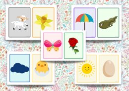 Spring flashcards