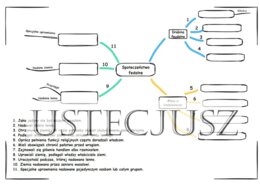 Społeczeństwo feudalne - Mapa Myśli - karta pracy