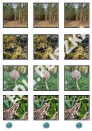 Pionowo, poziomo, na skos: pory roku