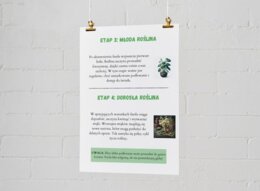 Plakaty edukacyjne. Cykl życia fasoli (etap 1: nasiono, etap 2: kiełek, etap 3: młoda roślina, etap 4: dorosła roślina). Jak segregować śmieci? Kolorowe kosze i co do nich wrzucamy? Najczęstsze błędy i odpady nietypowe.