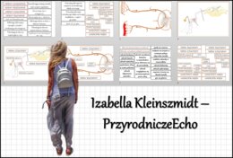 Materiał do zalaminowania/praca w grupach/stacje zadaniowe/układanka/puzzle okienkowa „Obwodowy układ nerwowy „Łuk odruchowy”, „Droga impulsu nerwowego” w pdf. Biologia 7 dział „Regulacja nerwowo - hormonalna”.