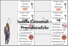 Notatka okienkowa/stacja zadaniowe/notatka interaktywna/notatka graficzna/karta pracy/sketchnotka „Płazińce”, „Płazińce - zwierzęta, które mają płaskie ciała” w pdf. Biologia 6 , dział „Od parzydełkowców do pierścienic”. Materiał wykonany na podstawie po