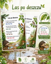 Las po deszczu