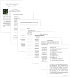 czytanie ze zrozumieniem - sprawdzian - klasa 6