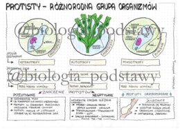Klasa 5 - protisty - kolorowa sketchnotka