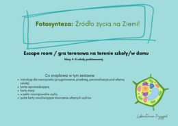 Fotosynteza
