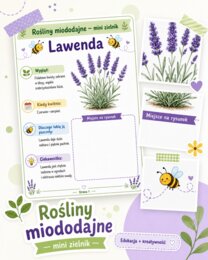 Rośliny miododajne - mini zielnik
