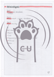 Notatki wizualne - Podstawy chemii - Klasa 7