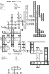 Flash 7 – Module 6 – krzyżówki